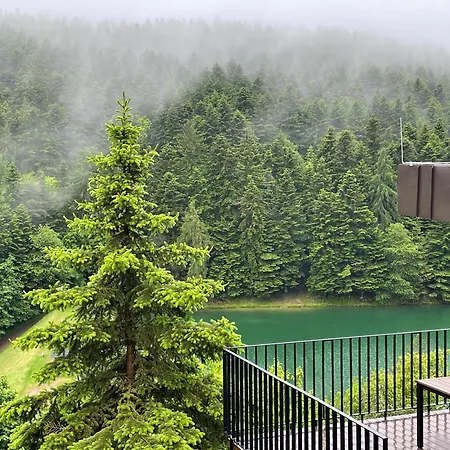 Klinger Na Dlani - View