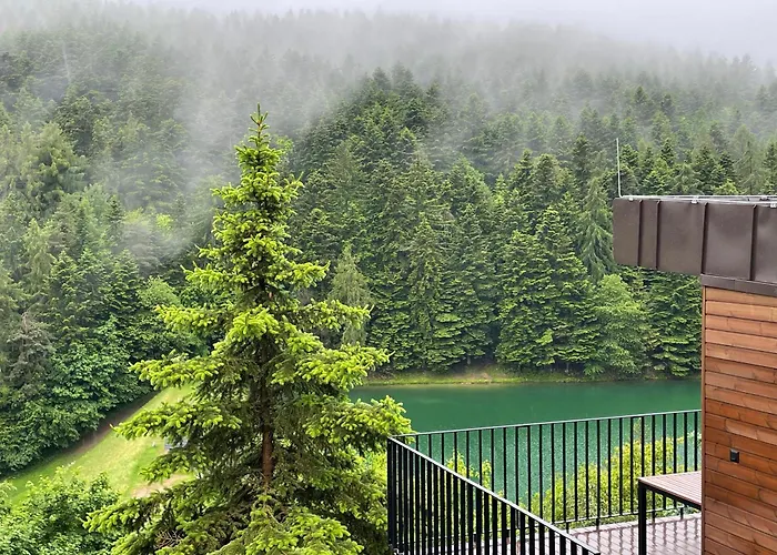 Klinger Na Dlani - View